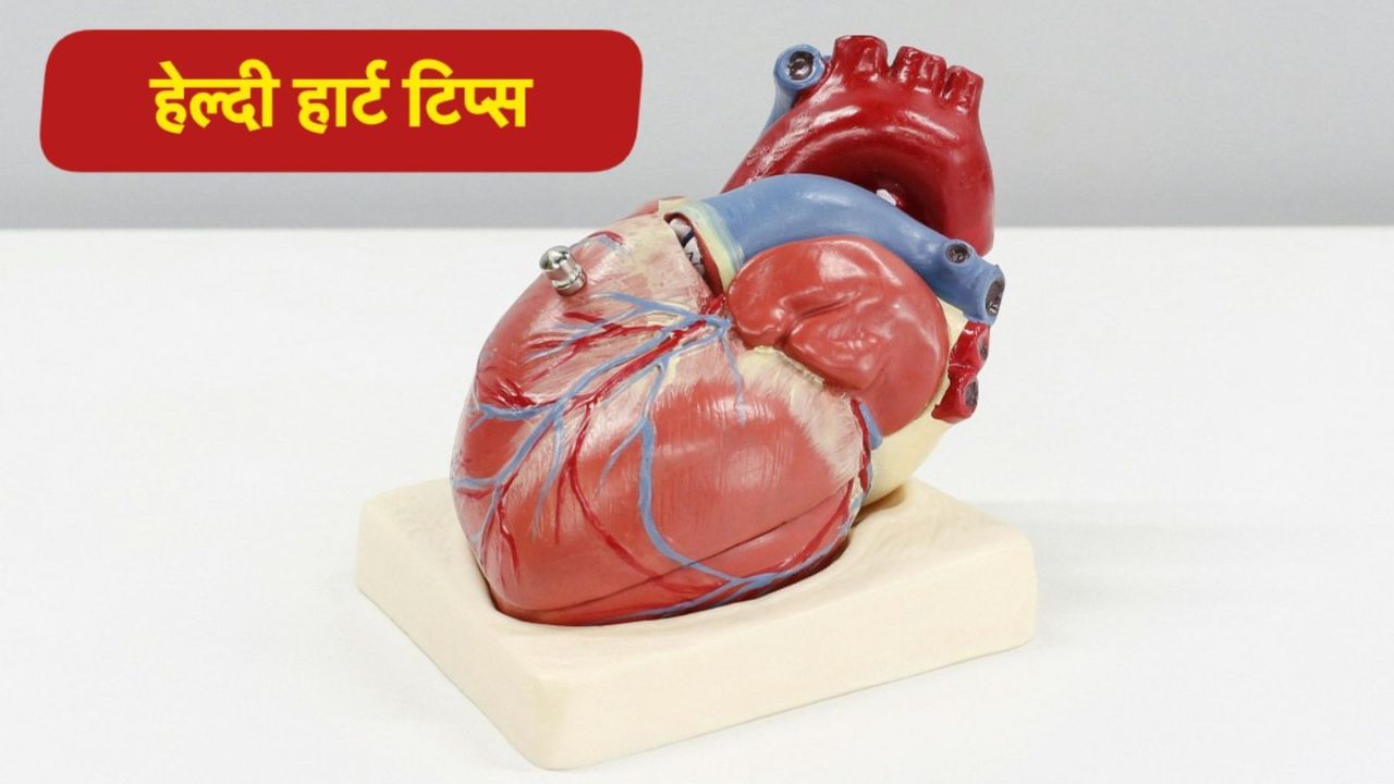 World Heart Day 2025: हार्ट को रखना है हेल्दी तो एक्सपर्ट्स की इन टिप्स को करें फॉलो