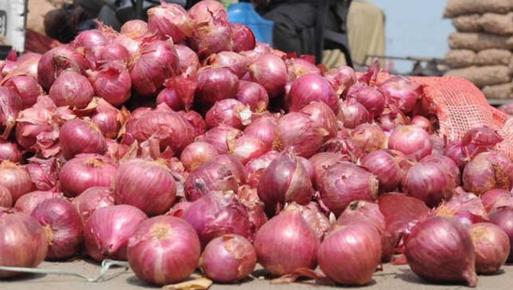 Cheap Onion Sale: ਸਰਕਾਰ ਦਾ ਵੱਡਾ ਫੈਸਲਾ: ਕੱਲ੍ਹ ਤੋਂ 35 ਰੁਪਏ ਕਿੱਲੋ ਮਿਲੇਗਾ ਪਿਆਜ਼